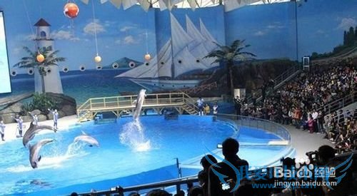 青岛极地海洋世界旅游小结: