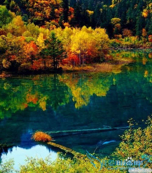 不可不去的四川旅游景点