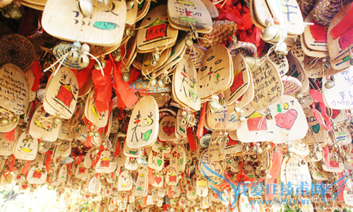 云南旅游全攻略之丽江