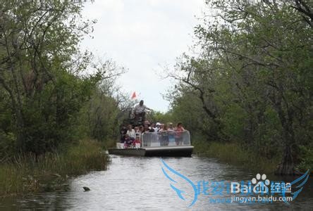 去迈阿密旅游行程如何安排
