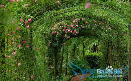 外国最浪漫的10个地方,你想去哪儿?