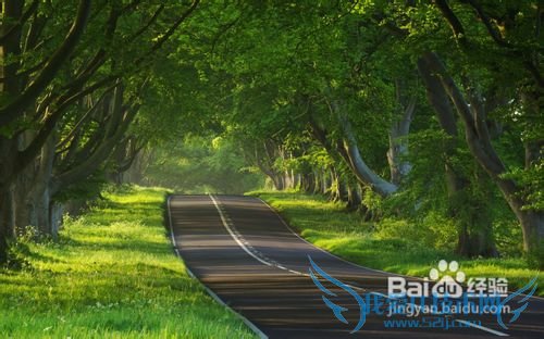 美国西部旅游特色简介