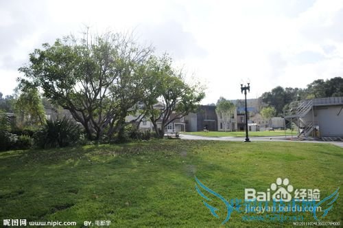 美国西部旅游特色简介