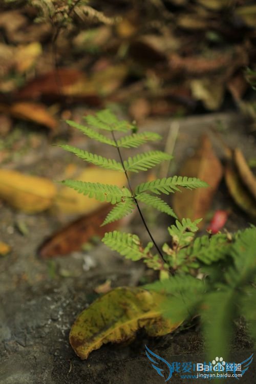 外出旅游时怎样拍摄漂亮的风景照