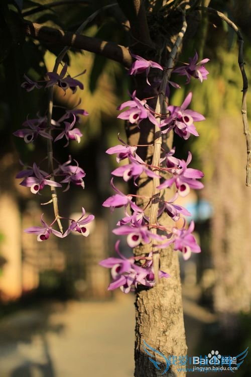 外出旅游时怎样拍摄漂亮的风景照
