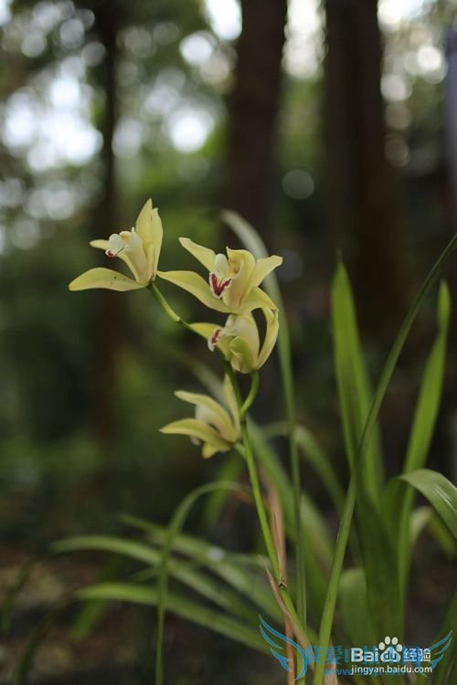 外出旅游时怎样拍摄漂亮的风景照