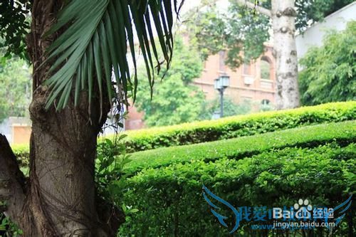 十一如何安全出行/合理安排旅游