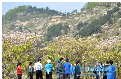 天峨旅游好风光