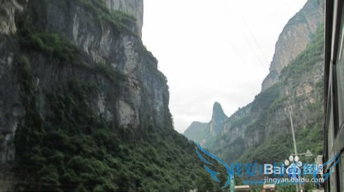 奉节天坑地缝旅游攻略