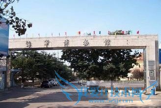 青岛夏季旅游攻略(3天)