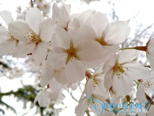 青岛夏季旅游攻略(3天)