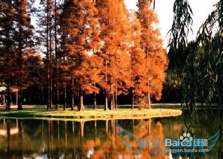 青岛夏季旅游攻略(3天)