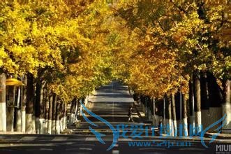 青岛夏季旅游攻略(3天)