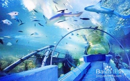 青岛夏季旅游攻略(3天)