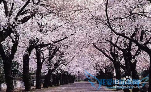 青岛夏季旅游攻略(3天)