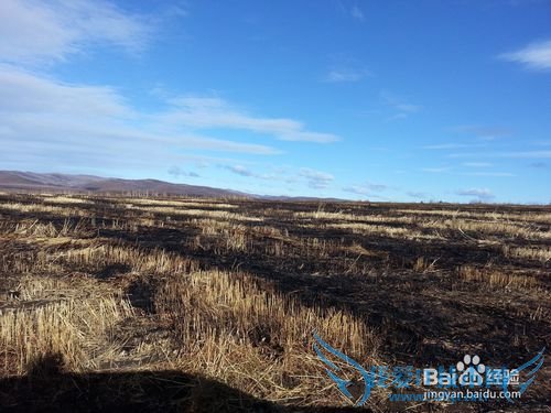 内蒙古租车五天四夜旅游攻略