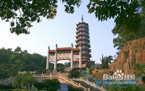 深圳至新兴两日旅游攻略