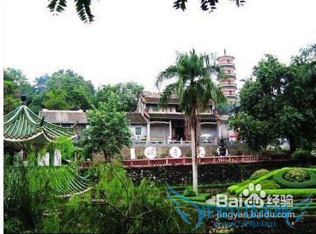 深圳至新兴两日旅游攻略