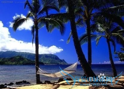 È¥ÏÄÍþÒÄÂÃÓÎÔõôÓÎÍæ