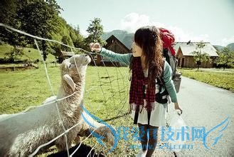 西北游最全旅游攻略