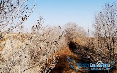 安全旅游过春节之避孕套巧救生