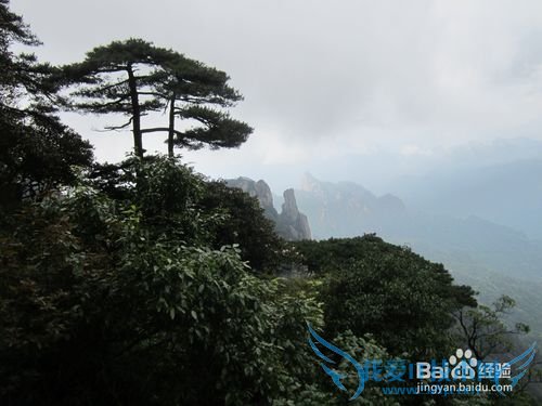三清山旅游攻略