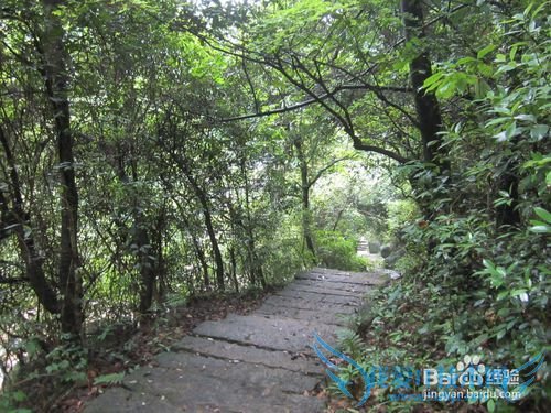 三清山旅游攻略