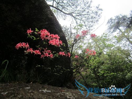 三清山旅游攻略