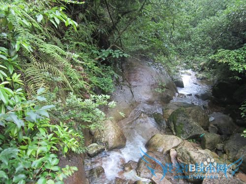 三清山旅游攻略