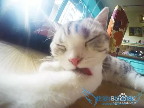 如何小资玩遍普吉镇