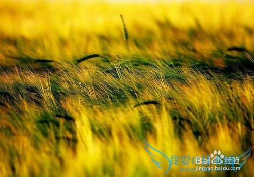 杭州西湖旅游攻略:穷游