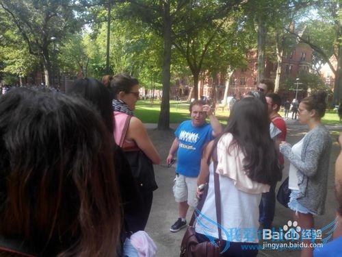 美国麻萨诸塞州和纽约一游