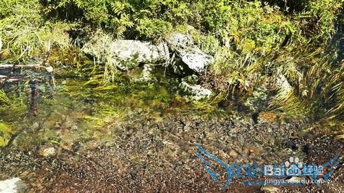 阿尔山旅游须知