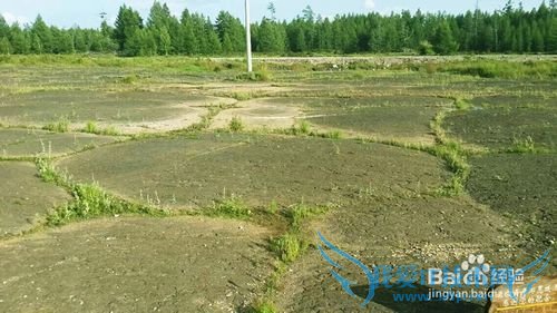 阿尔山旅游须知