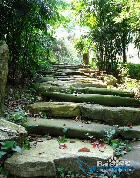 五一旅游去重庆哪玩?