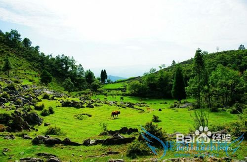 五一旅游去重庆哪玩?