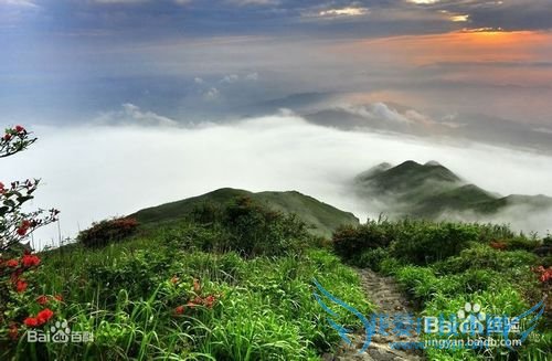 广西有什么好玩的地方?广西旅游攻略