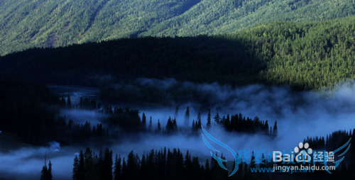 喀纳斯旅游攻略