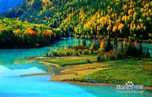 喀纳斯旅游攻略