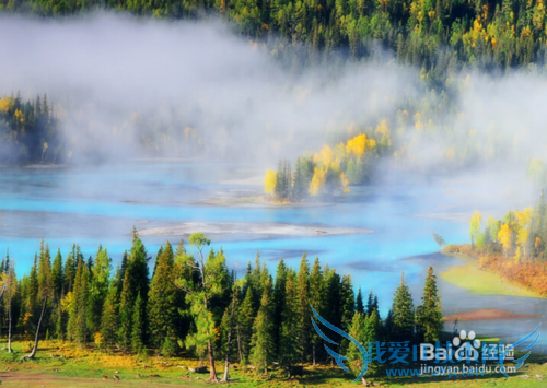 喀纳斯旅游攻略