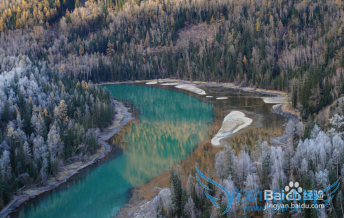 喀纳斯旅游攻略