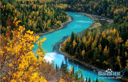 喀纳斯旅游攻略