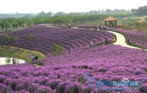 到南京旅游,可以去哪