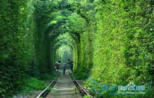 到南京旅游,可以去哪