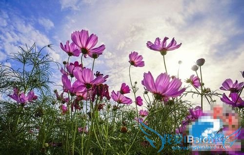 到南京旅游,可以去哪