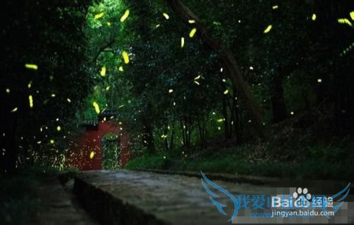 到南京旅游,可以去哪