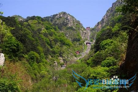 泰山旅游购物、饮食攻略