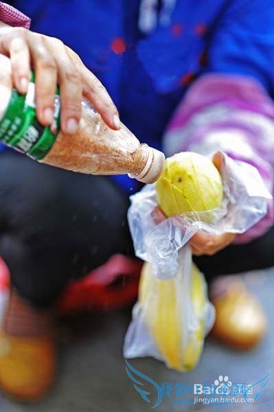 三亚美食攻略游记