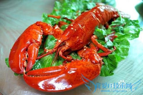 三亚美食攻略游记