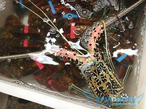 三亚美食攻略游记